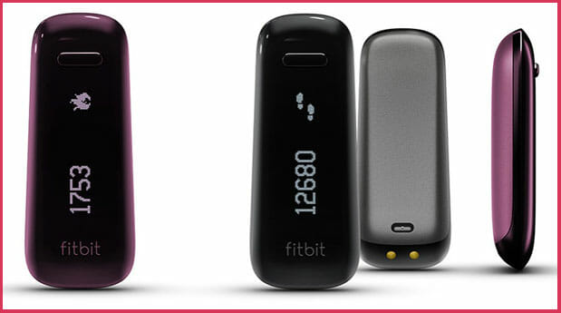 FitBit One - Ripple IT Service