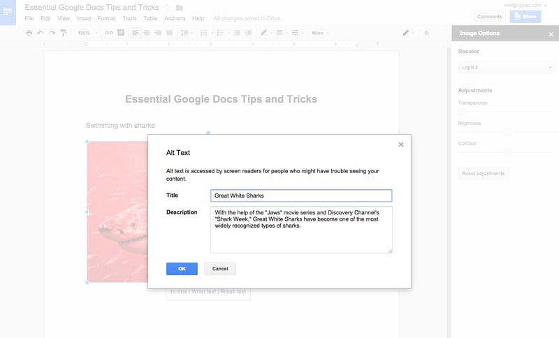 Google Docs Tips to Help You Become a Pro | Ripple IT