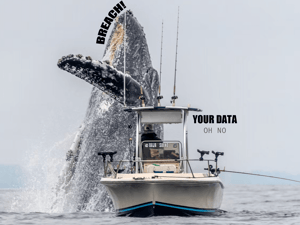 data-breach-whale