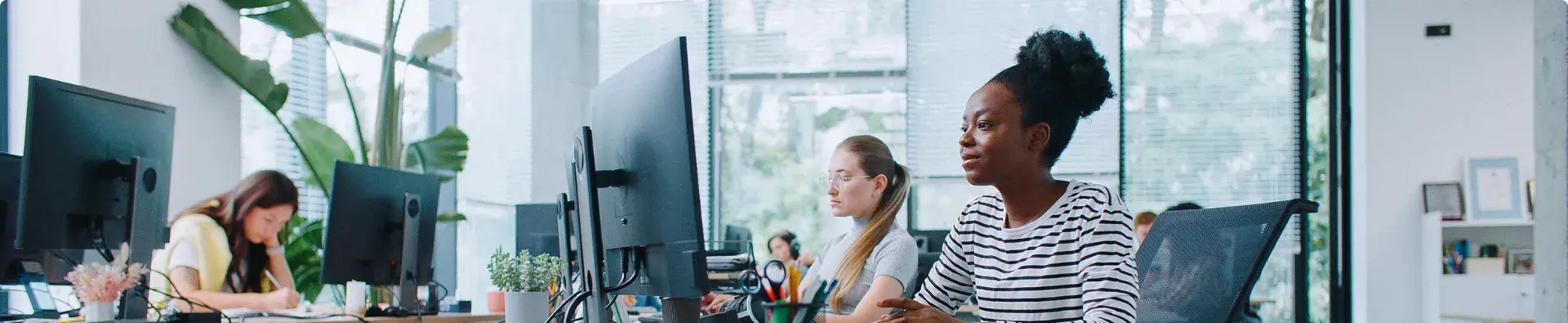 IT Asset Management